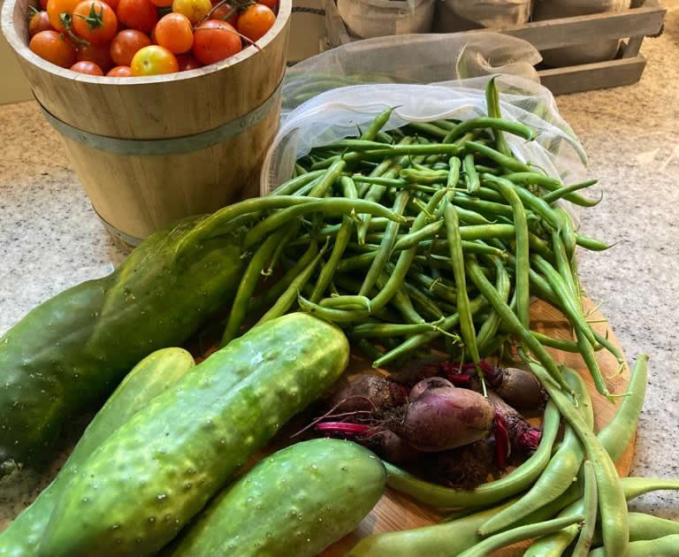 Courgettes & Tomatoes