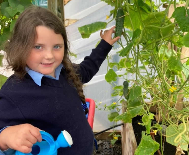 Pupil with courgette grown in greenhouse