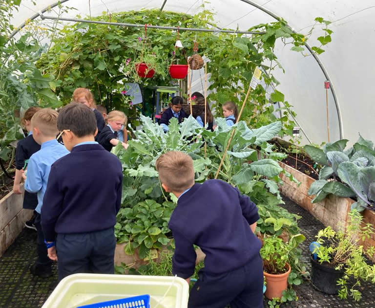Pupils in greenhouse